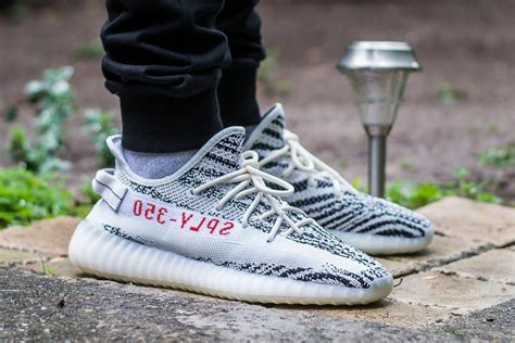 zebra yeezys 10.5